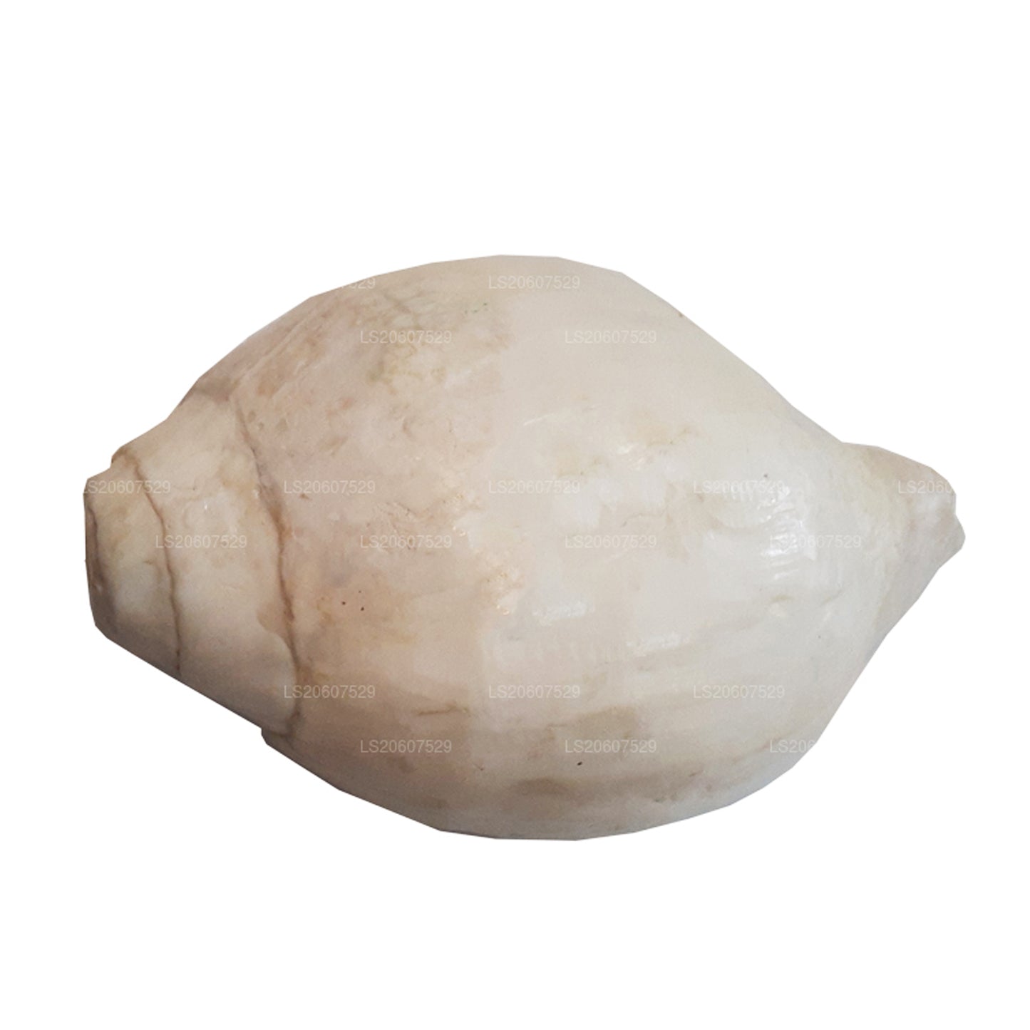 Lakpura Hakgediya sri lankaise