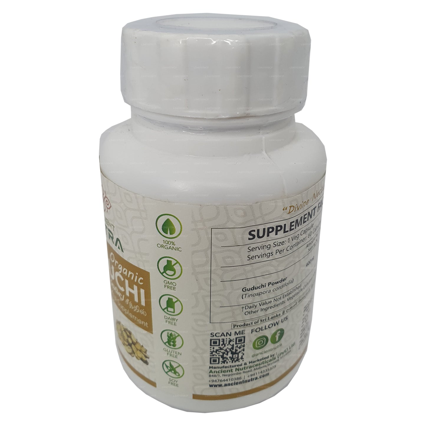 Nutra Guduchi ancien (60 gélules)