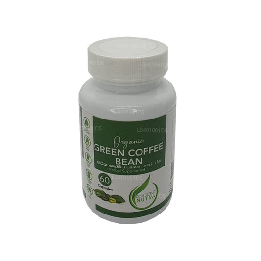 Grain de café vert Ancient Nutra (60 capsules)