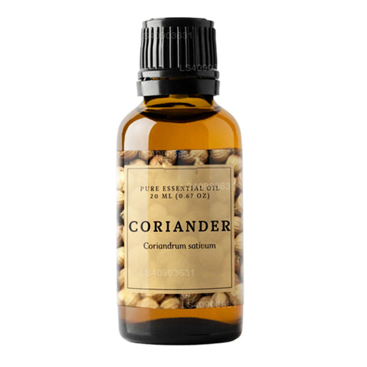 Huile essentielle de coriandre Lakpura (20 ml)
