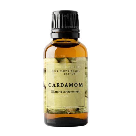 Huile essentielle de cardamome Lakpura (15 ml)