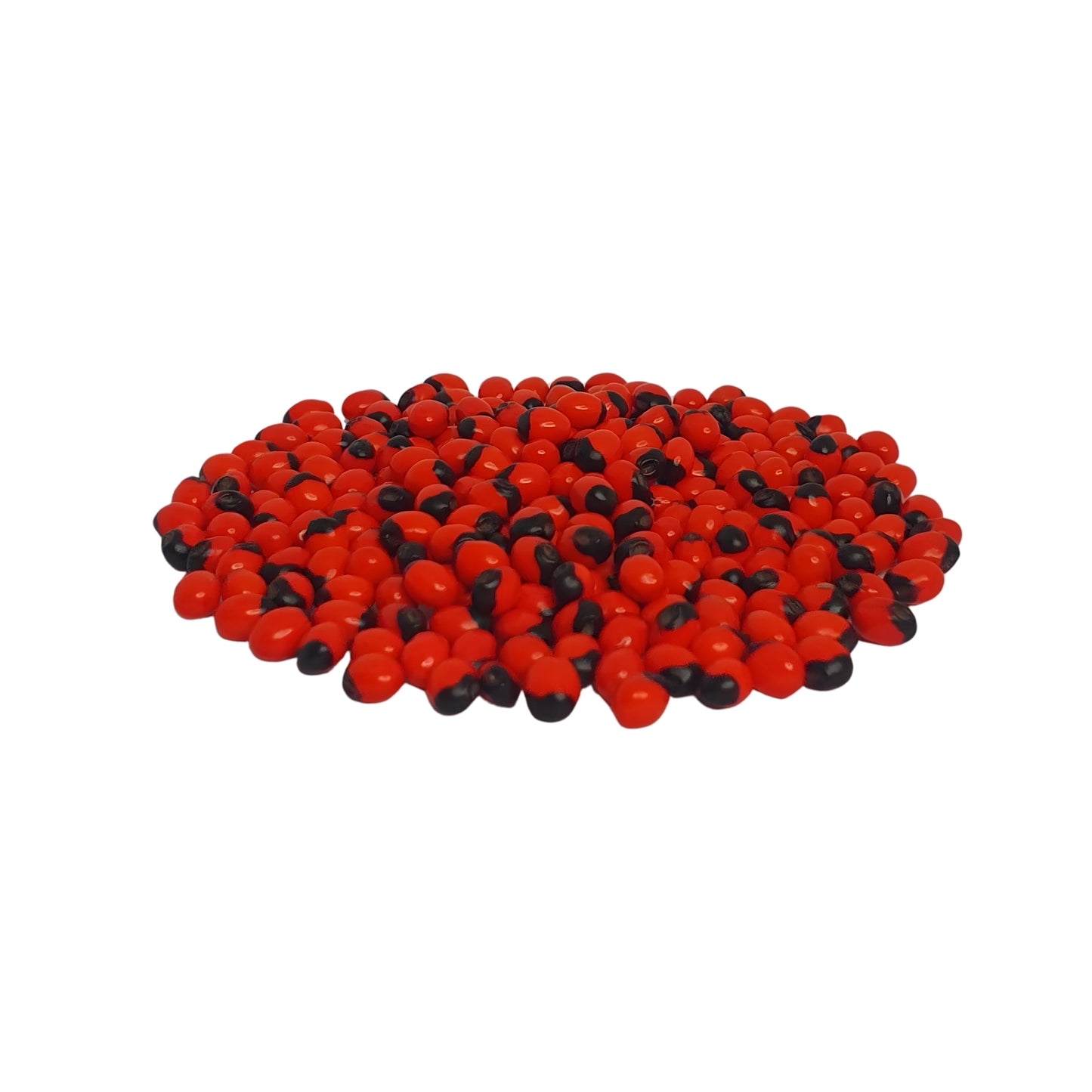 Graines Lakpura® Olinda (Abrus marocain)