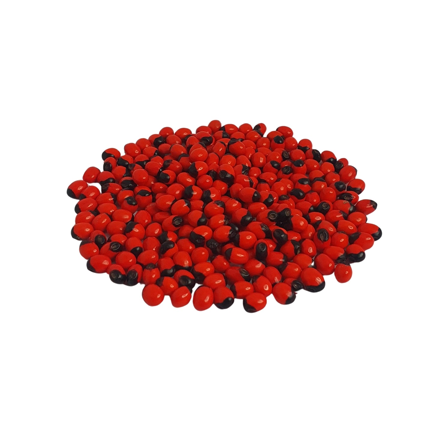 Graines Lakpura® Olinda (Abrus marocain)