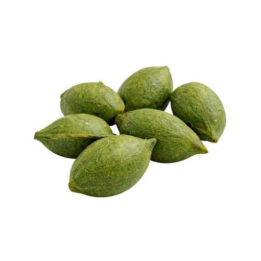 Lakpura® Terminalia Catappa (Kottamba) Graines Entières