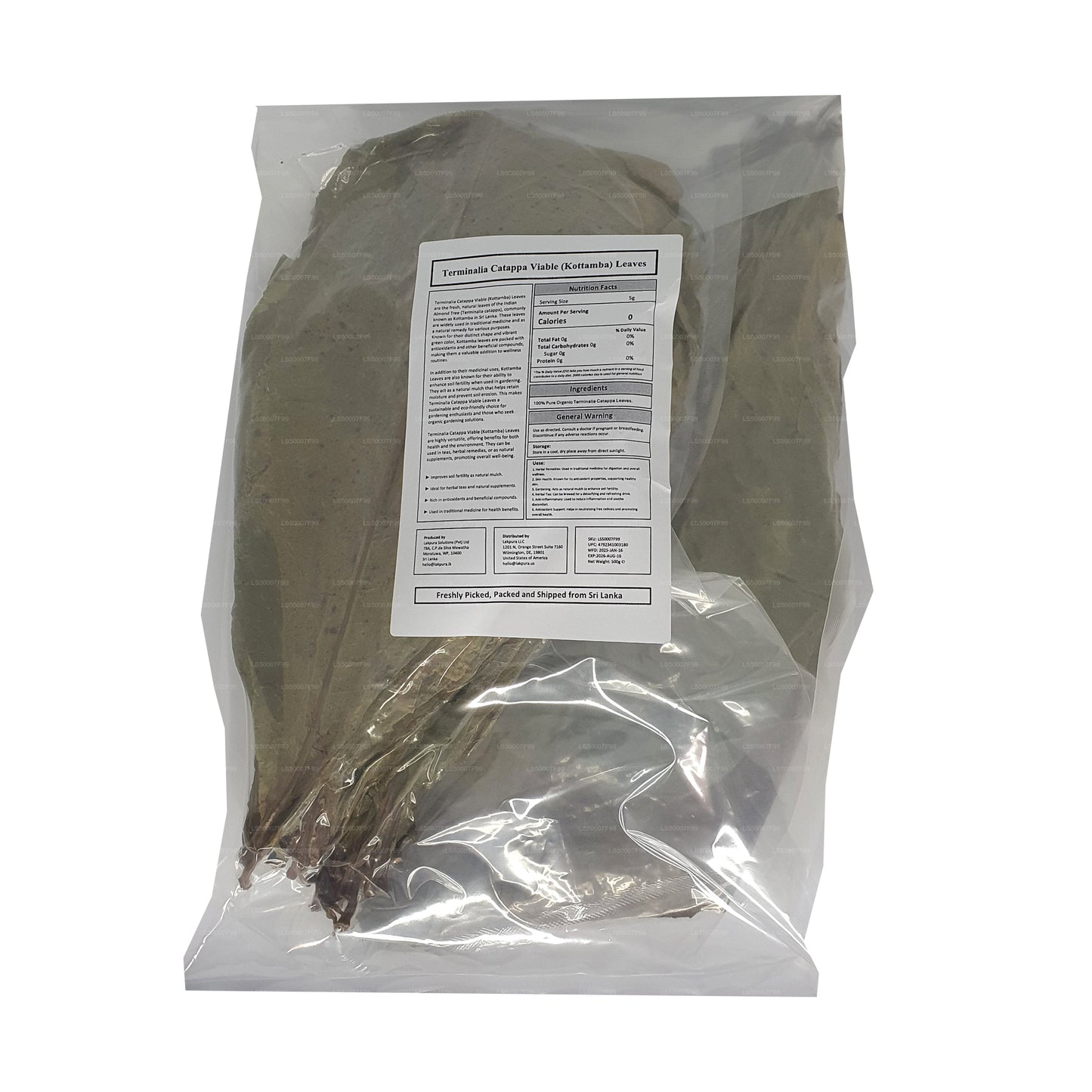 Lakpura déshydratée (Kottan, Kottamba, amande indienne) Terminalia catappa 100 feuilles (100 g)