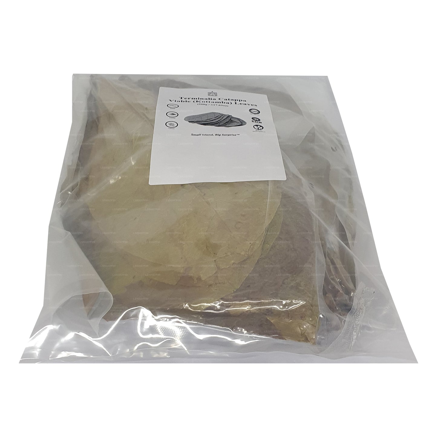 Lakpura déshydratée (Kottan, Kottamba, amande indienne) Terminalia catappa 100 feuilles (100 g)