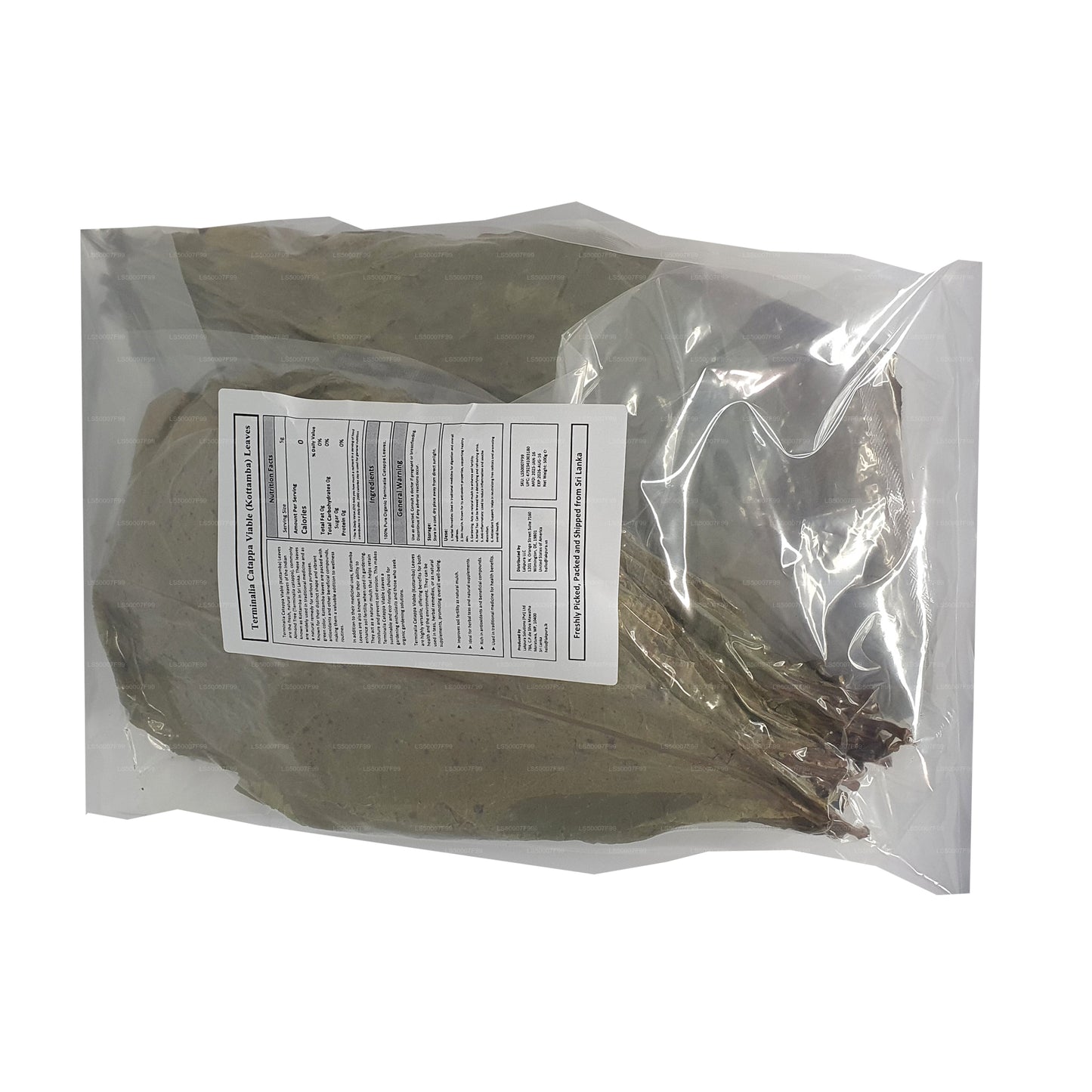 Lakpura déshydratée (Kottan, Kottamba, amande indienne) Terminalia catappa 100 feuilles (100 g)