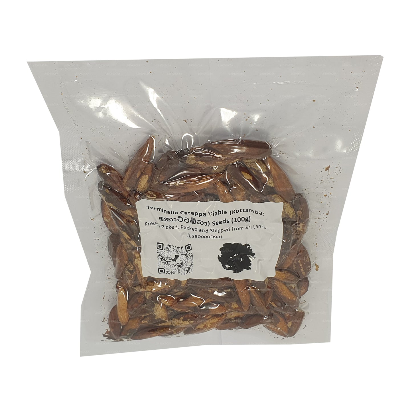 Graines de Terminalia Catappa Viables (Kottamba) Lakpura®