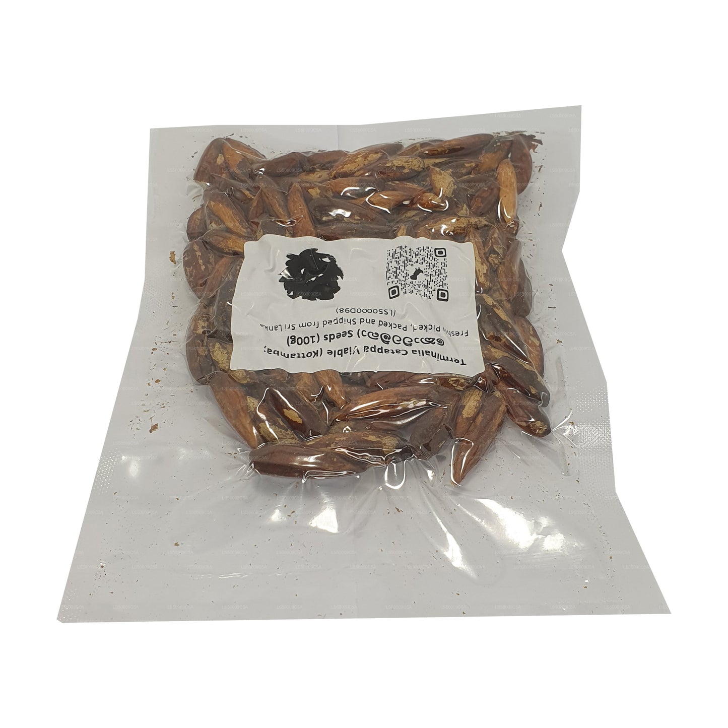 Graines de Terminalia Catappa Viables (Kottamba) Lakpura®