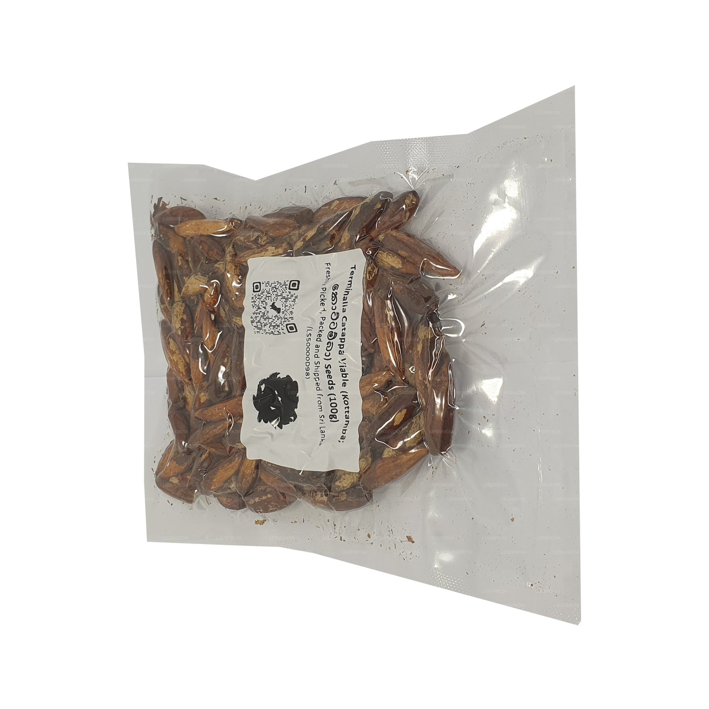 Graines de Terminalia Catappa Viables (Kottamba) Lakpura®