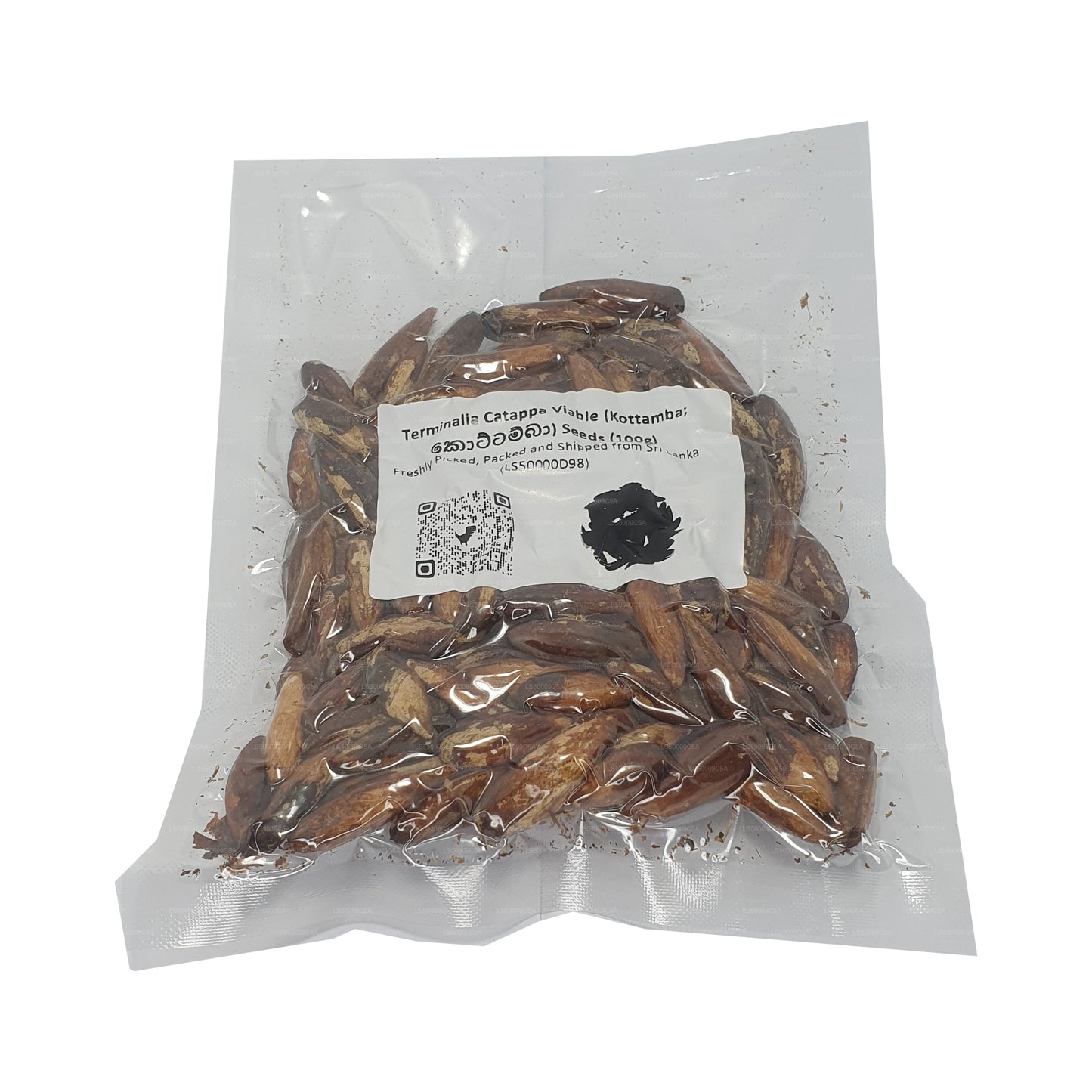 Graines de Terminalia Catappa Viables (Kottamba) Lakpura®