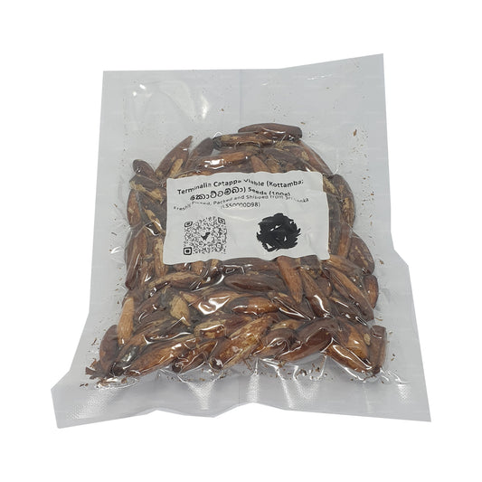 Graines de Terminalia Catappa Viables (Kottamba) Lakpura®