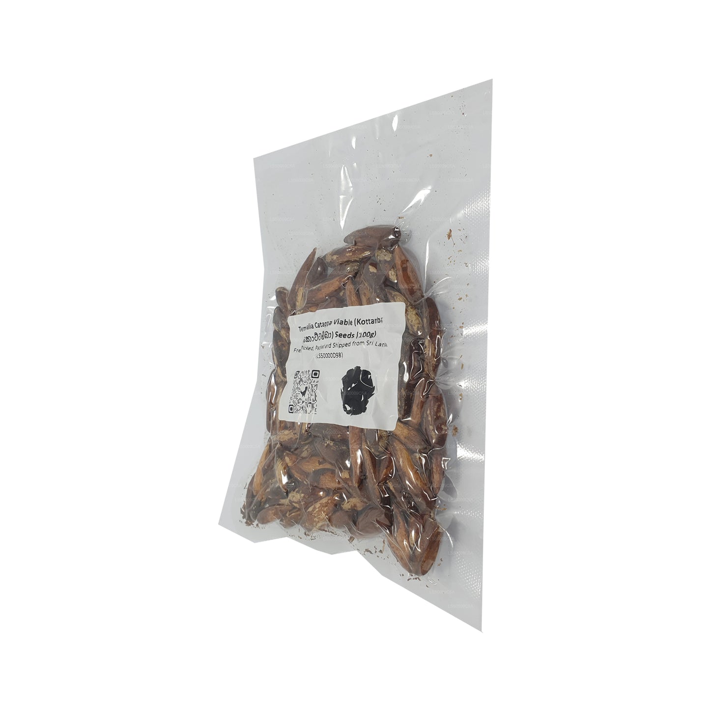 Graines de Terminalia Catappa Viables (Kottamba) Lakpura®