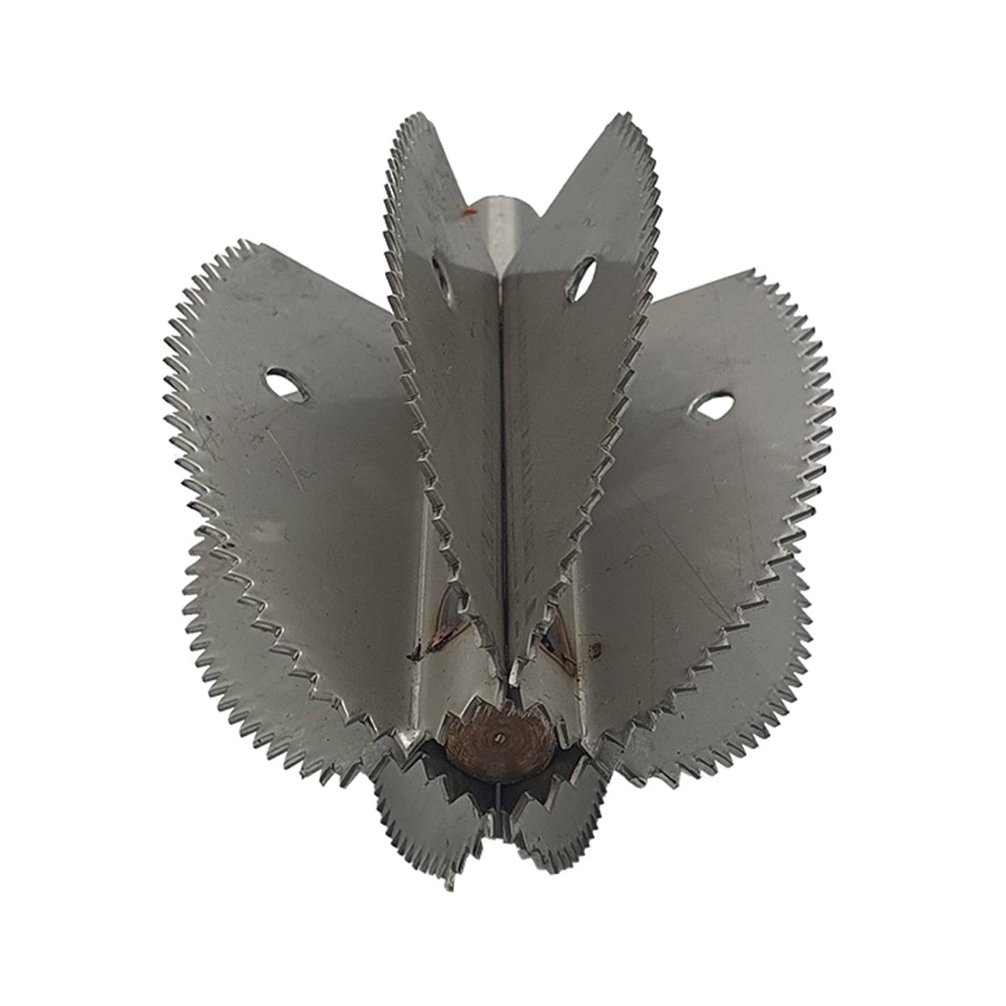 Lame de rechange pour grattoir à noix de coco Odiris