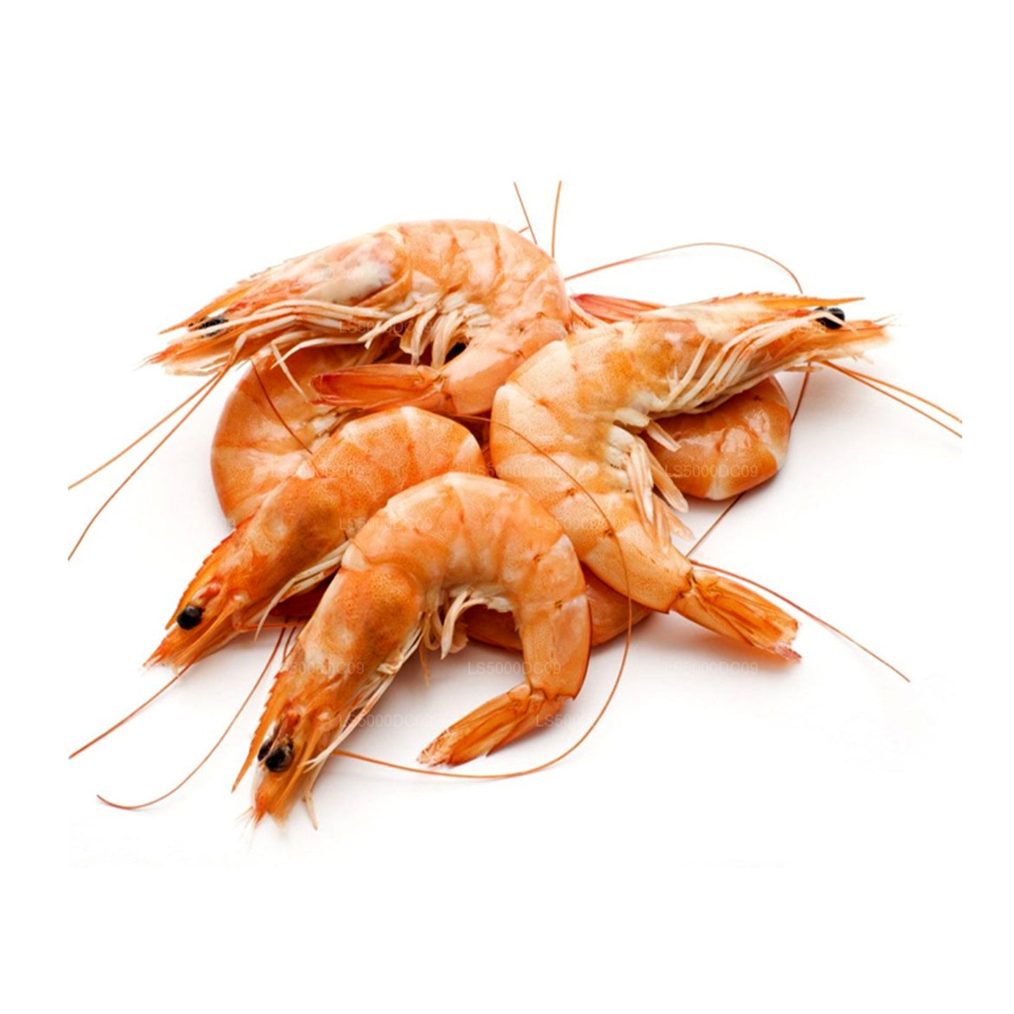 Crevettes séchées Lakpura « » (200g)