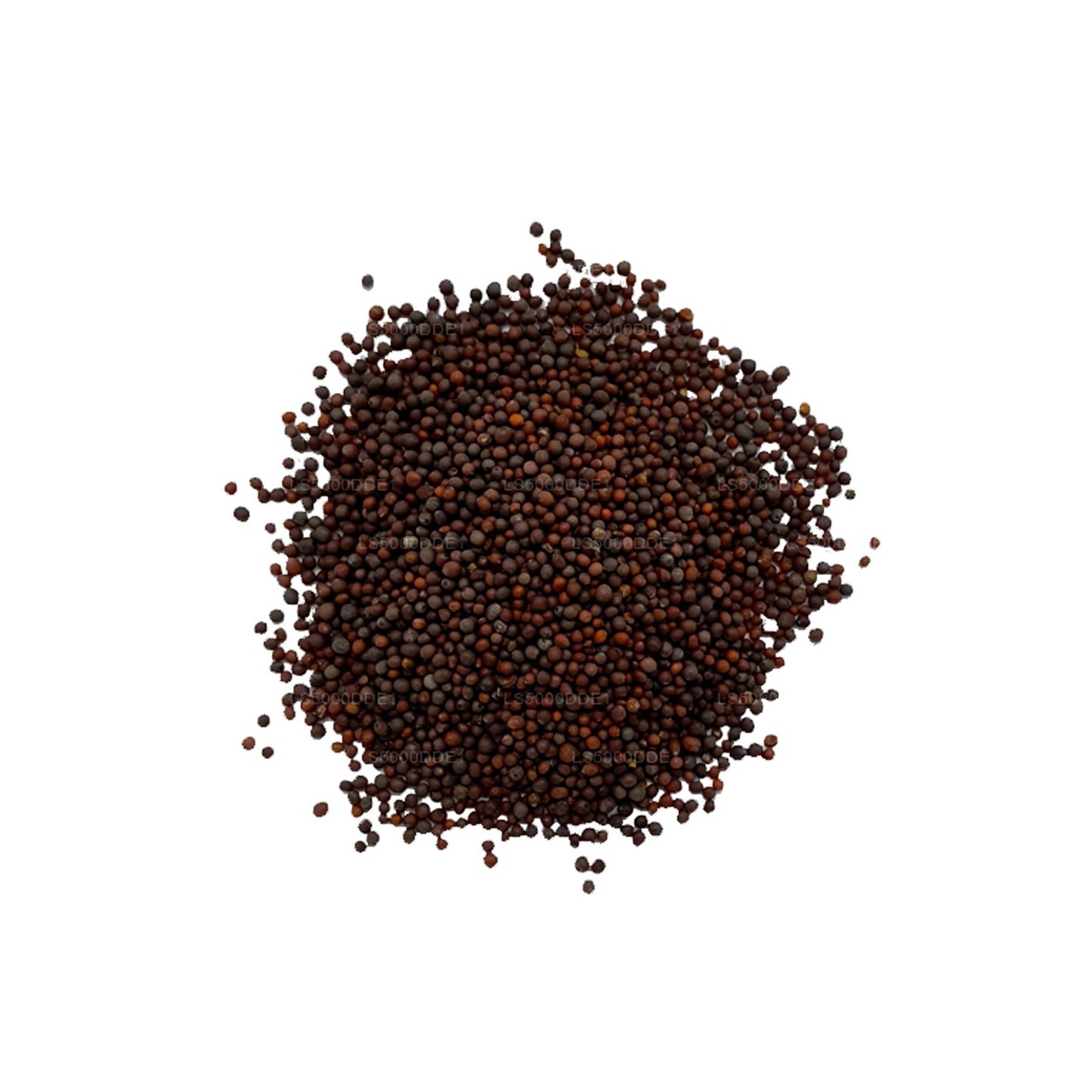 Graines de moutarde Lakpura (100g)