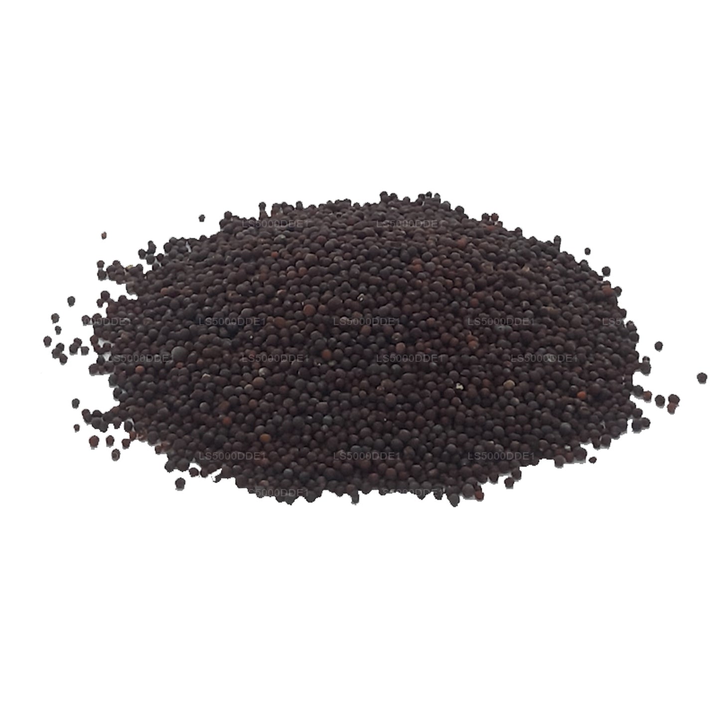 Graines de moutarde Lakpura (100g)