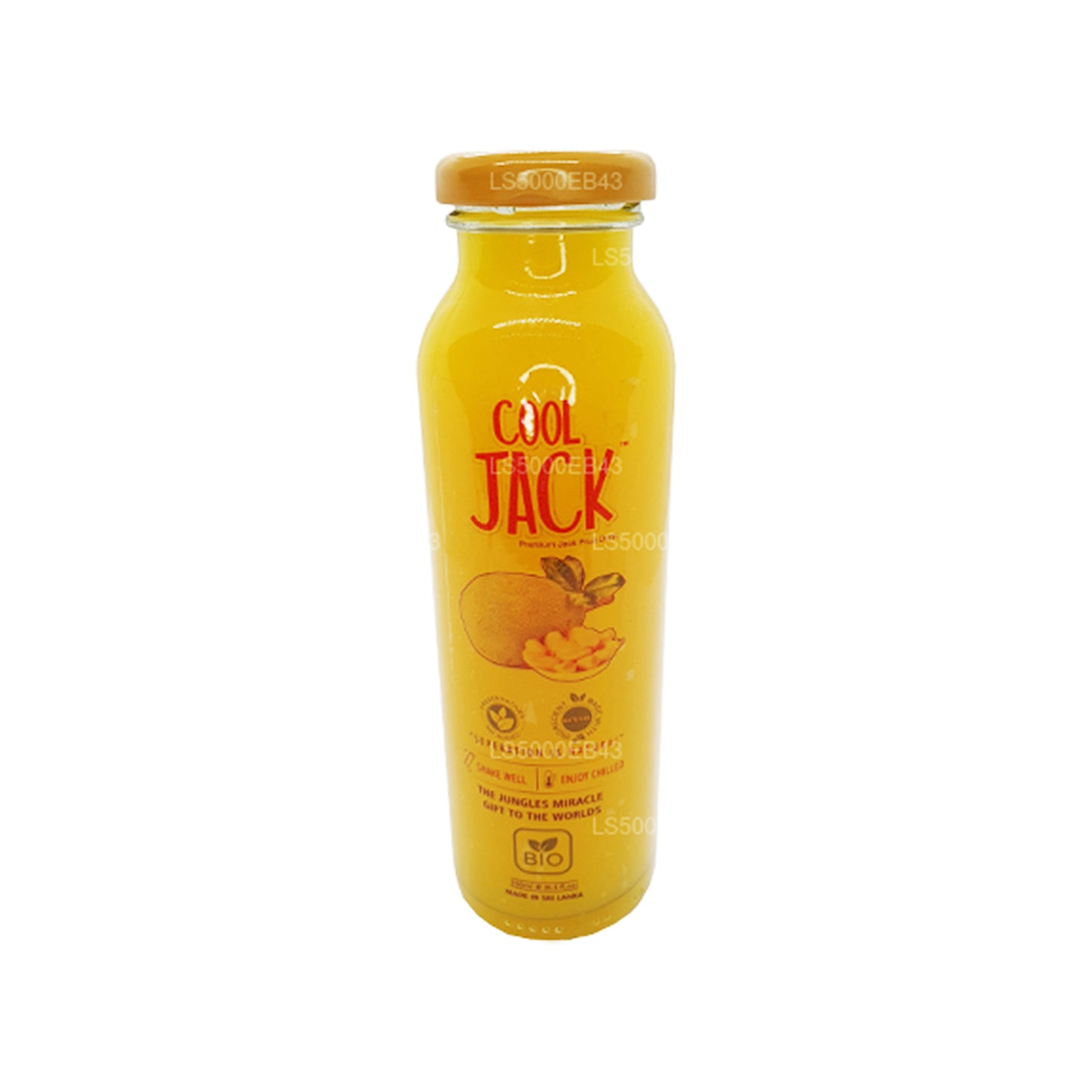 Lampe Cool Jack (250 ml)