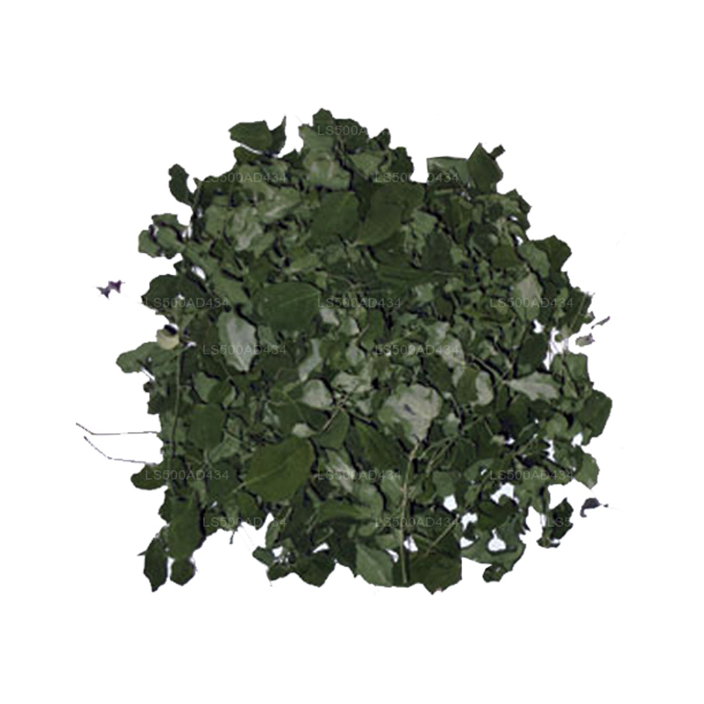 Lakpura Dehydrated Moringa Oleifera Leaves (100g)