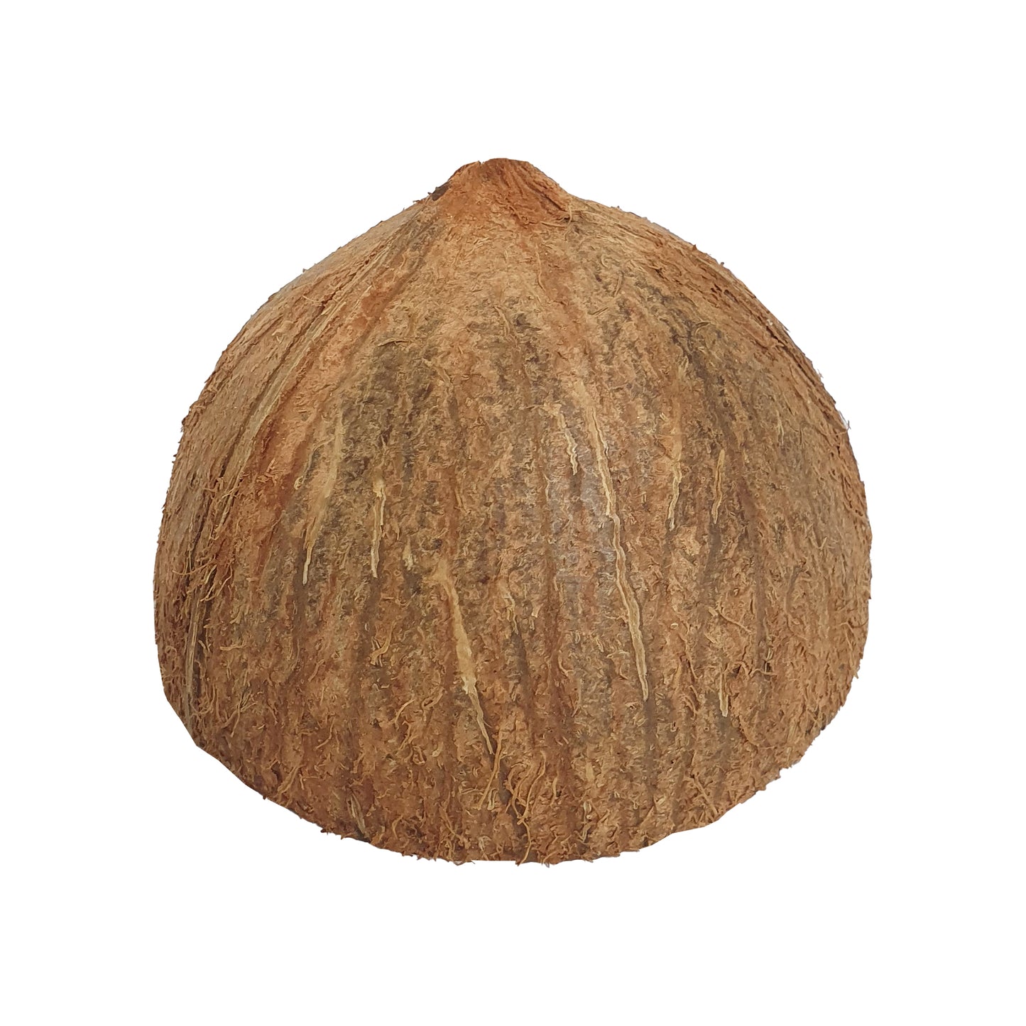 Moitiés de coquilles de noix de coco Lakpura®