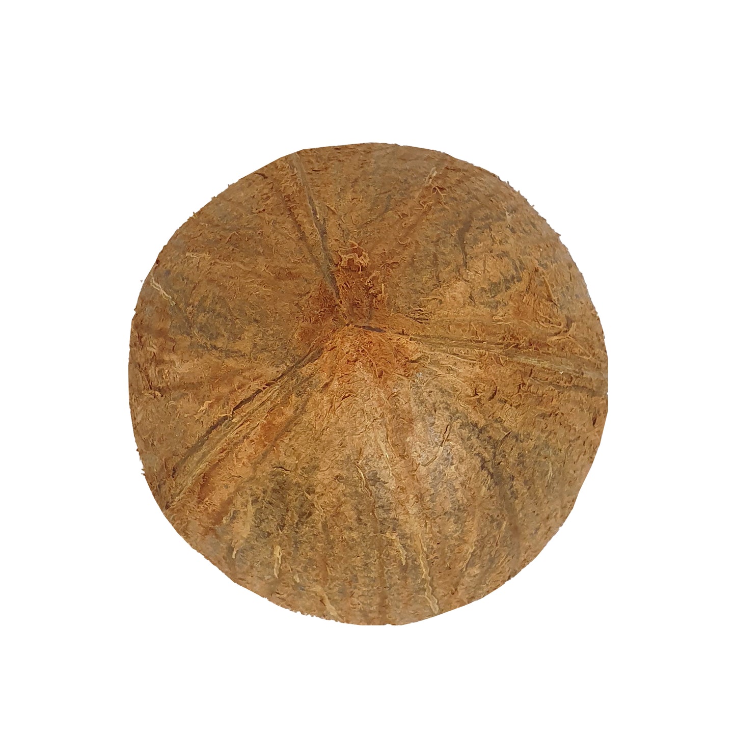 Moitiés de coquilles de noix de coco Lakpura®