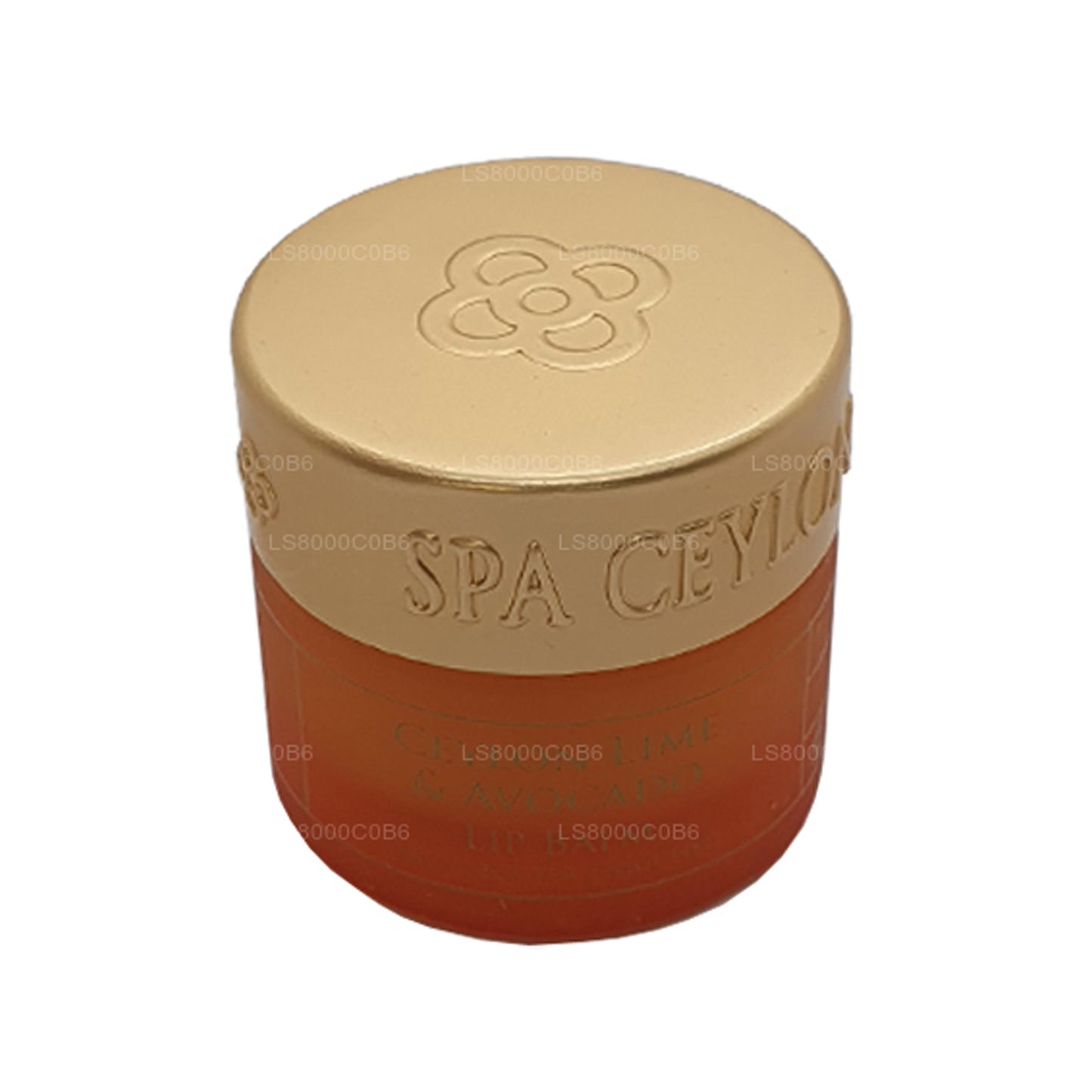 Spa Ceylon Baume à lèvres à la lime de Ceylan et à l'avocat (10 g)
