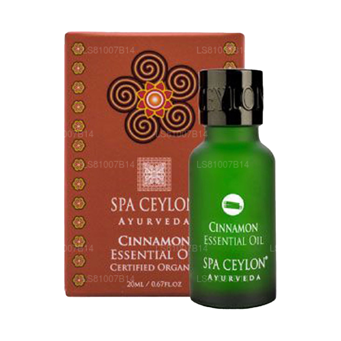 Cannelle de Ceylan Spa - Huile essentielle (20 ml)