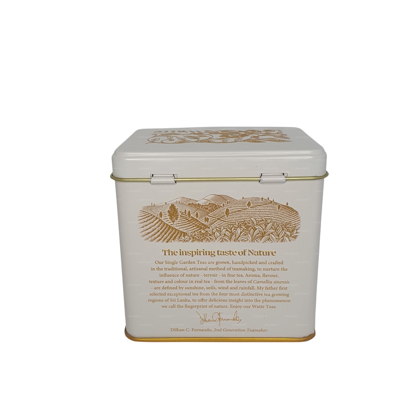 Thé en vrac Dilmah Meda Watte (125 g)