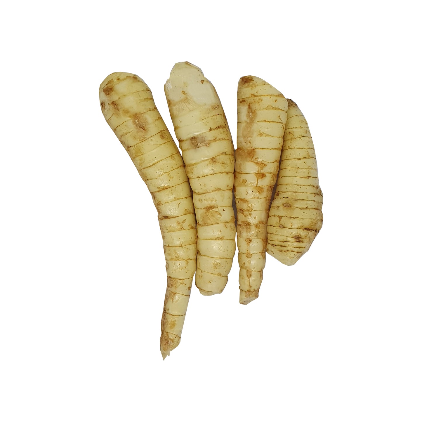 Lakpura® Hulankeeriya (Aruukka)