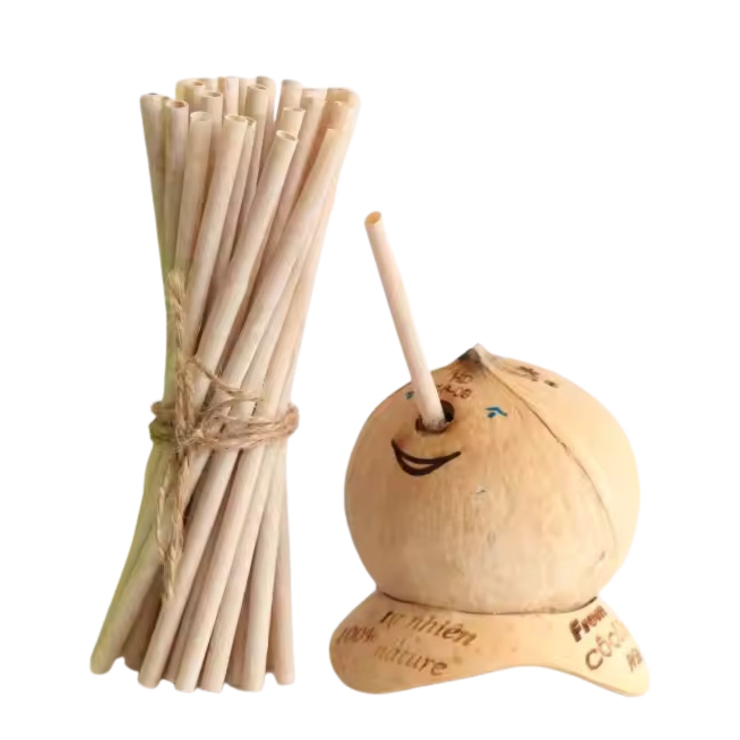 Pailles à la noix de coco Lakpura®