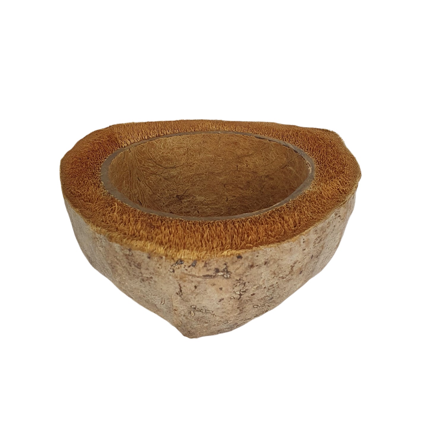 Design de pot de plantation en noix de coco naturelle Bivenro (taille libre)