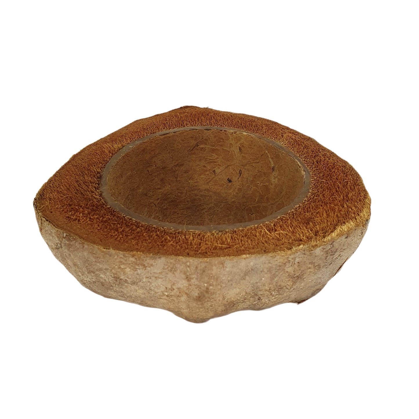 Design de pot de plantation en noix de coco naturelle Bivenro (taille libre)