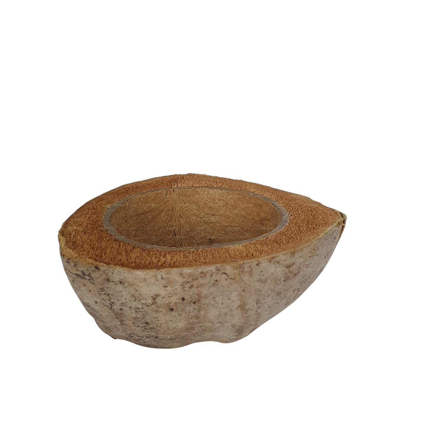Design de pot de plantation en noix de coco naturelle Bivenro (taille libre)
