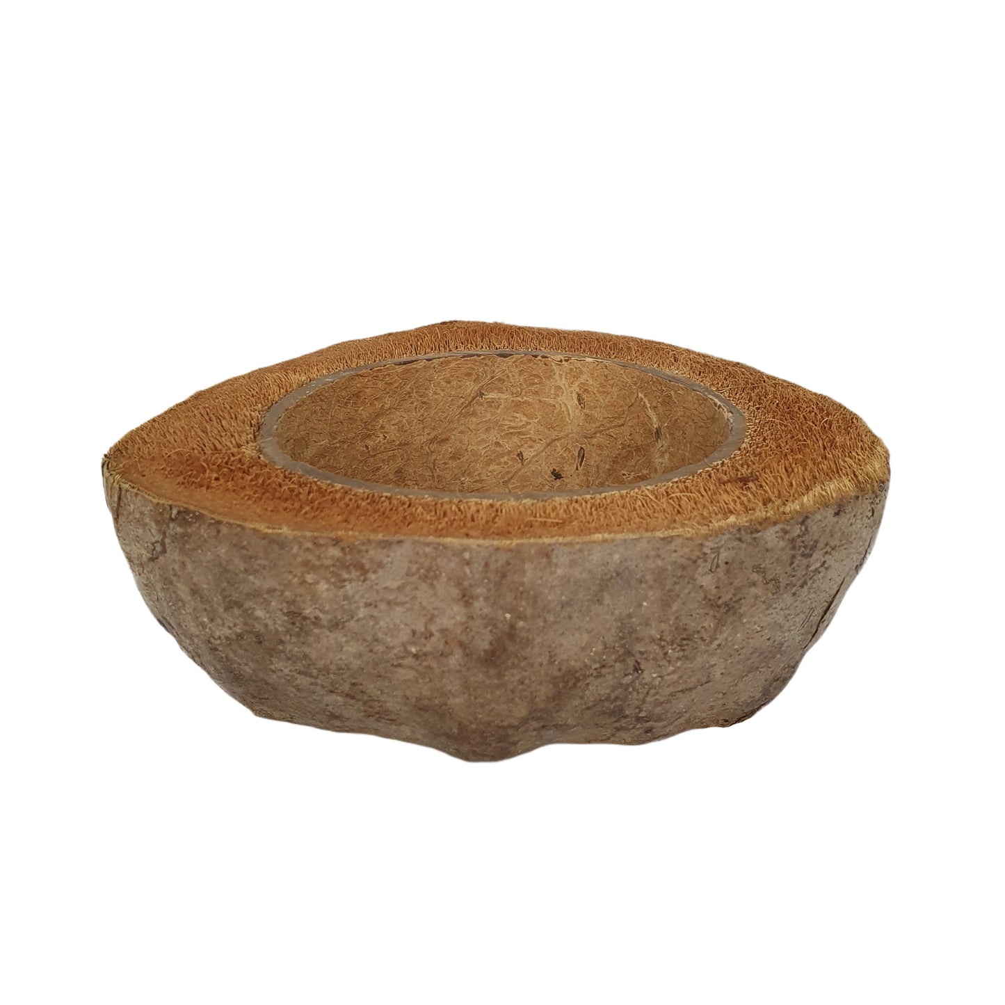 Design de pot de plantation en noix de coco naturelle Bivenro (taille libre)