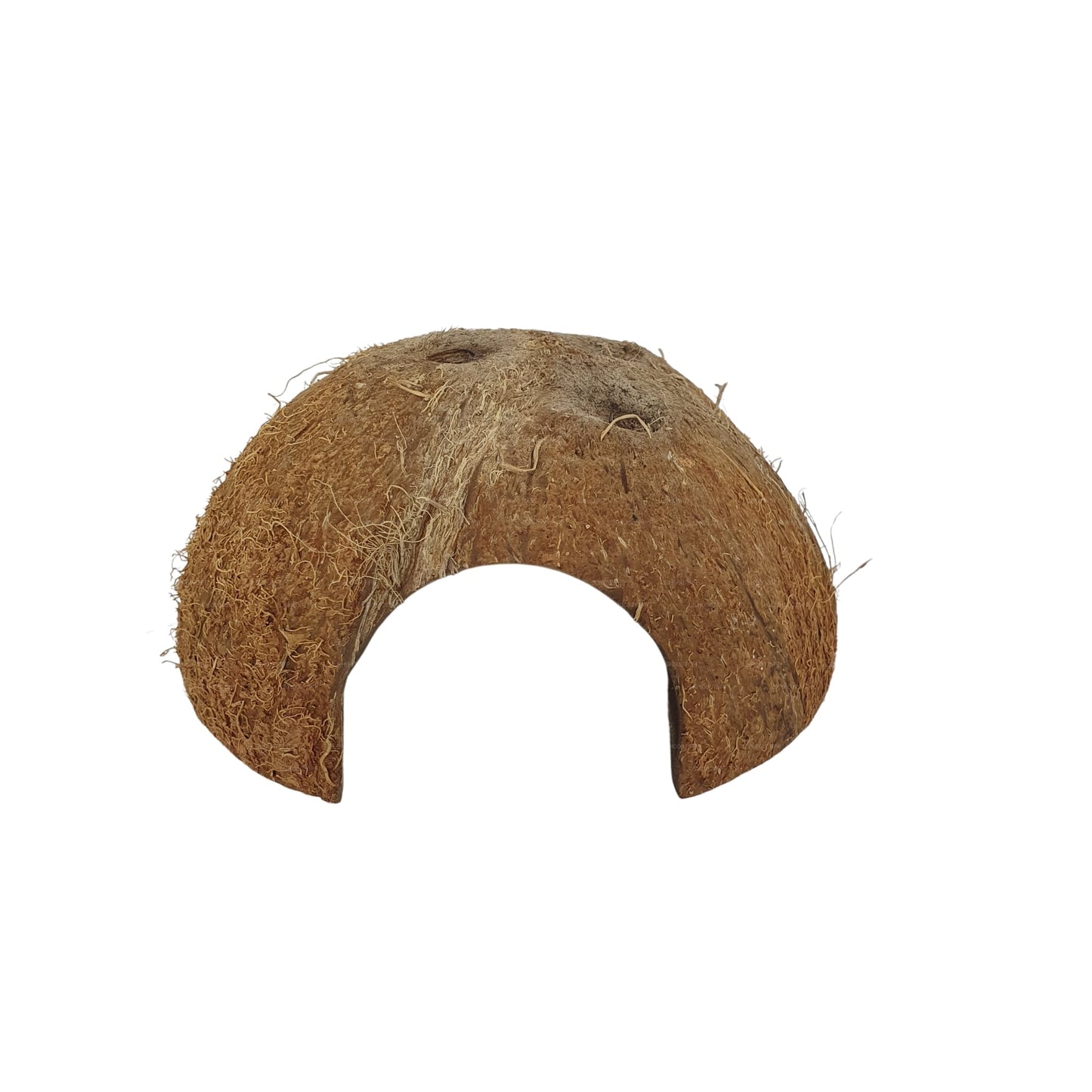 Cave en coquille de noix de coco Bivenro Natural 1/2 (taille libre)