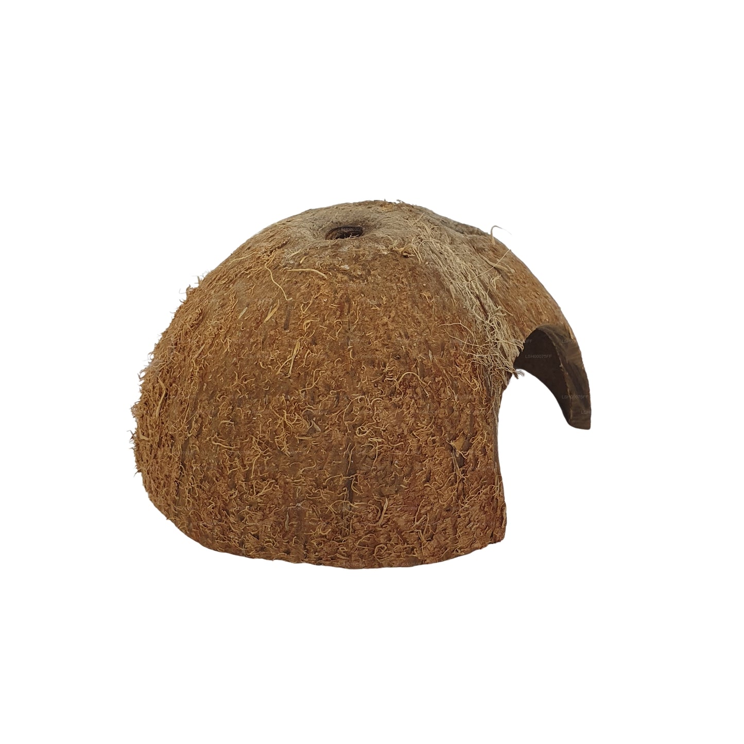 Cave en coquille de noix de coco Bivenro Natural 1/2 (taille libre)