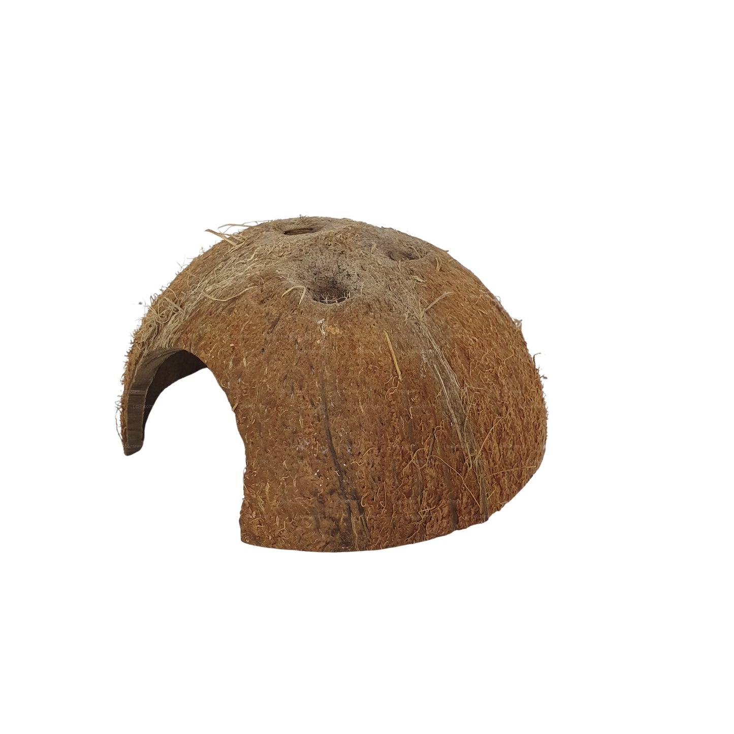 Cave en coquille de noix de coco Bivenro Natural 1/2 (taille libre)