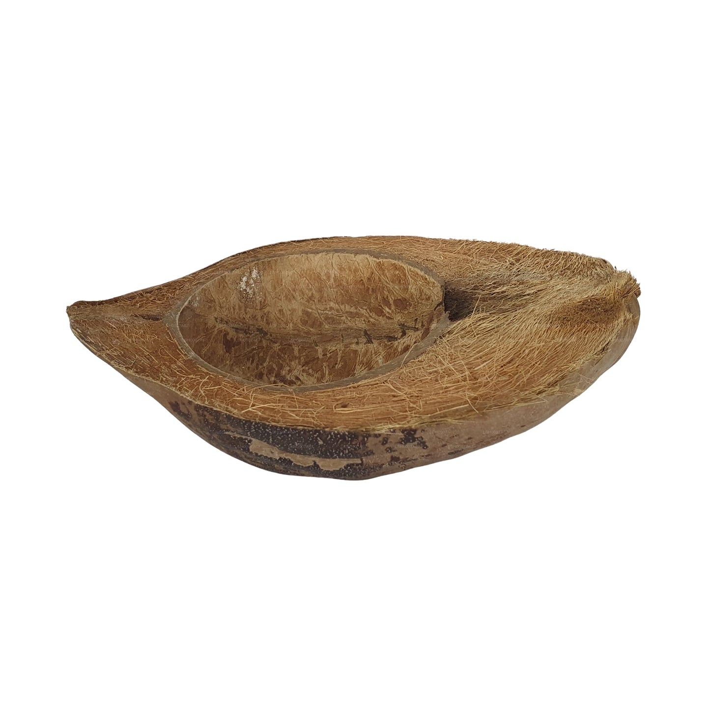 Bivenro Natural Coconut Pet Bowl Design (Free Size)