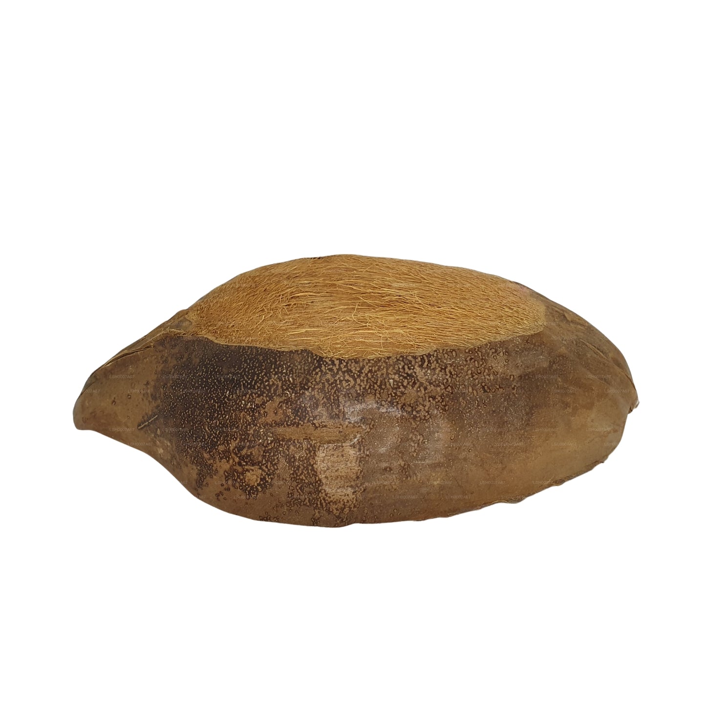 Bivenro Natural Coconut Pet Bowl Design (Free Size)
