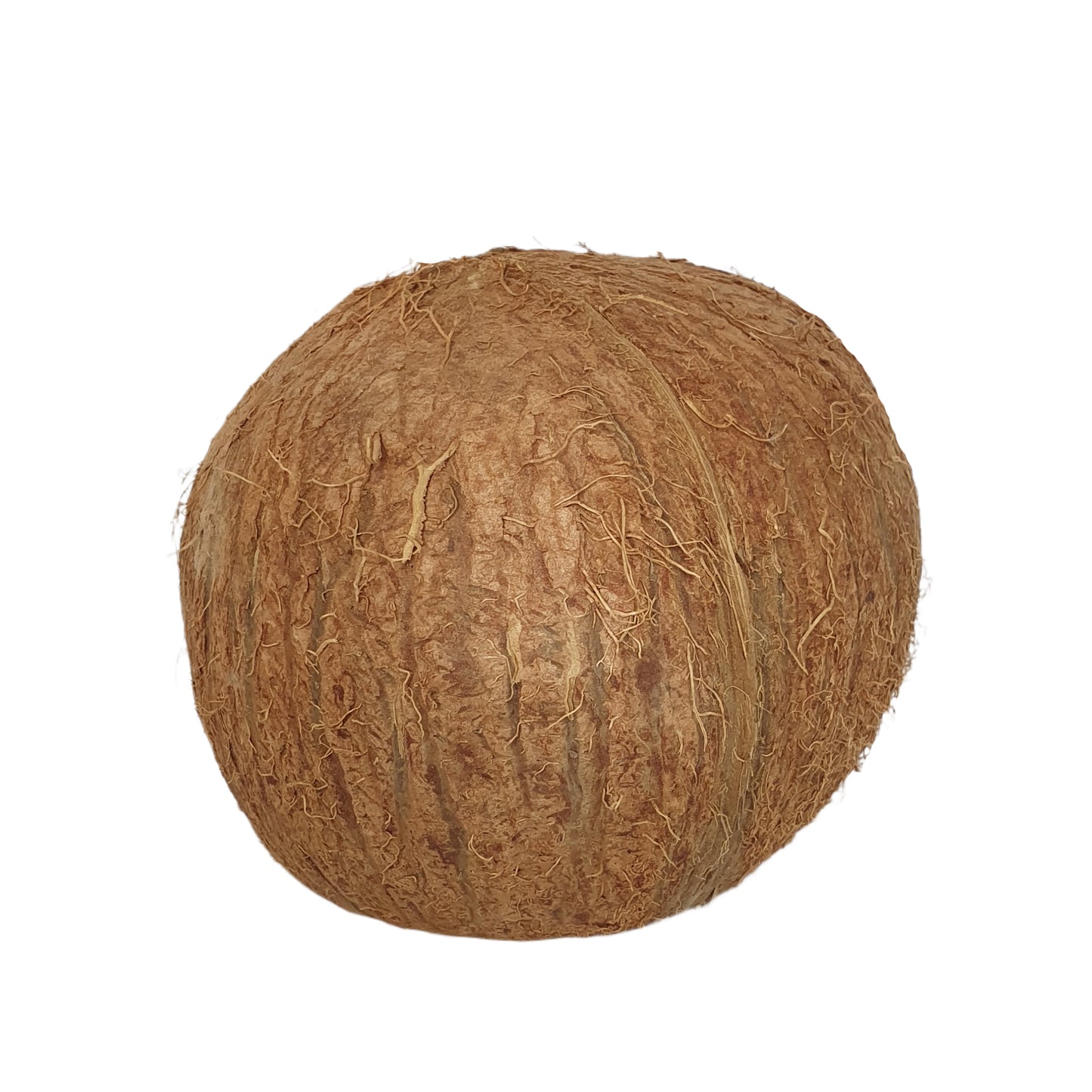 Cave à coque de noix de coco Bivenro Natural 3/4 (taille libre)