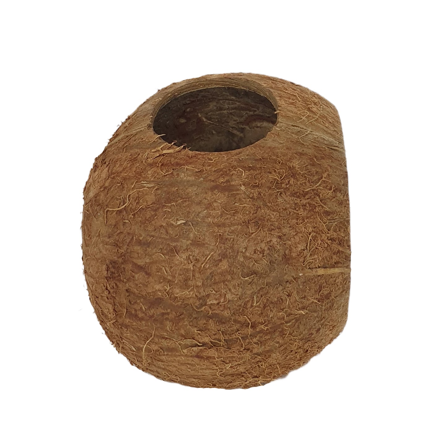 Cave à coque de noix de coco Bivenro Natural 3/4 (taille libre)