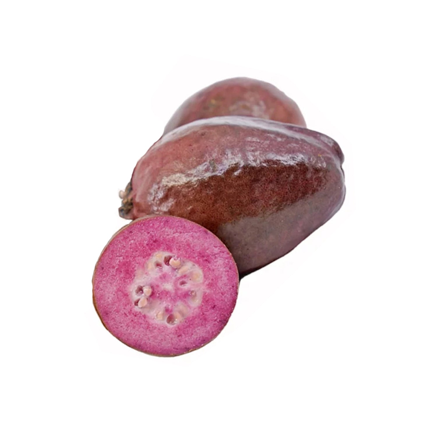 Plante fruitière de goyave violette Lakpura