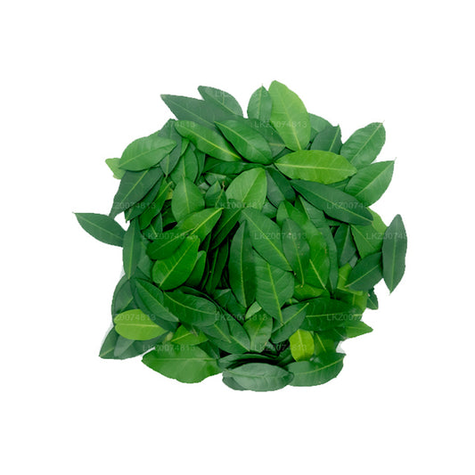 Lakpura Fresh Yaki Naran (Atalantia Ceylanica) 100 feuilles