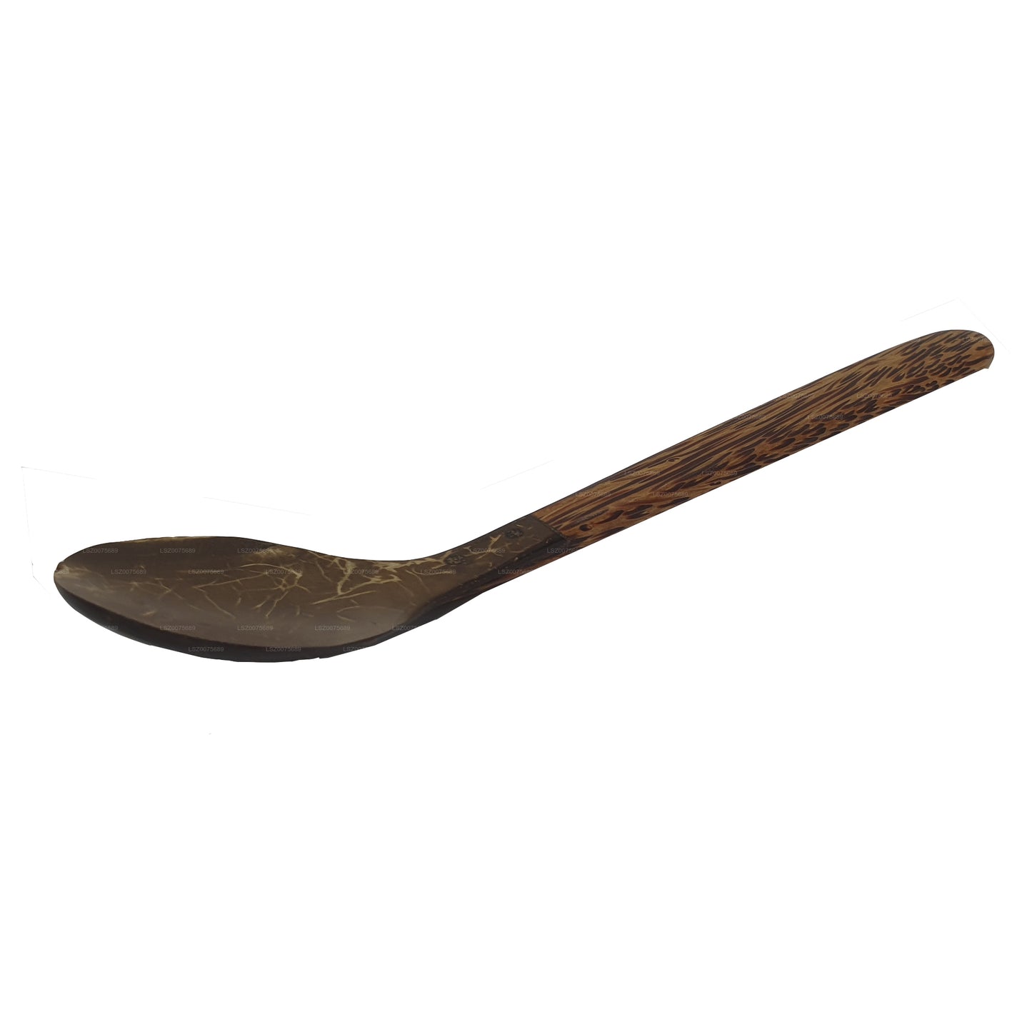Couverts en coquille de noix de coco Spoon (14 cm)
