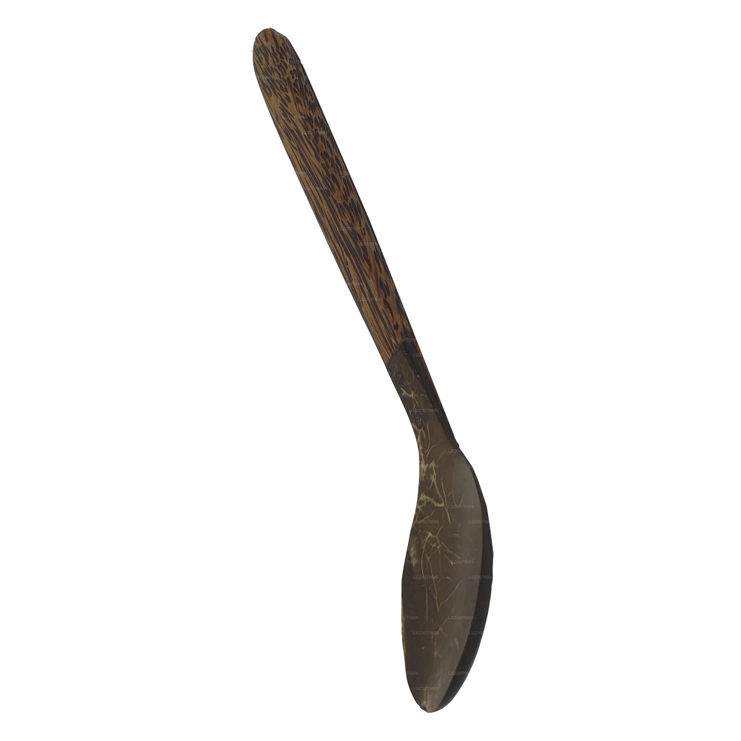 Couverts en coquille de noix de coco Spoon (14 cm)