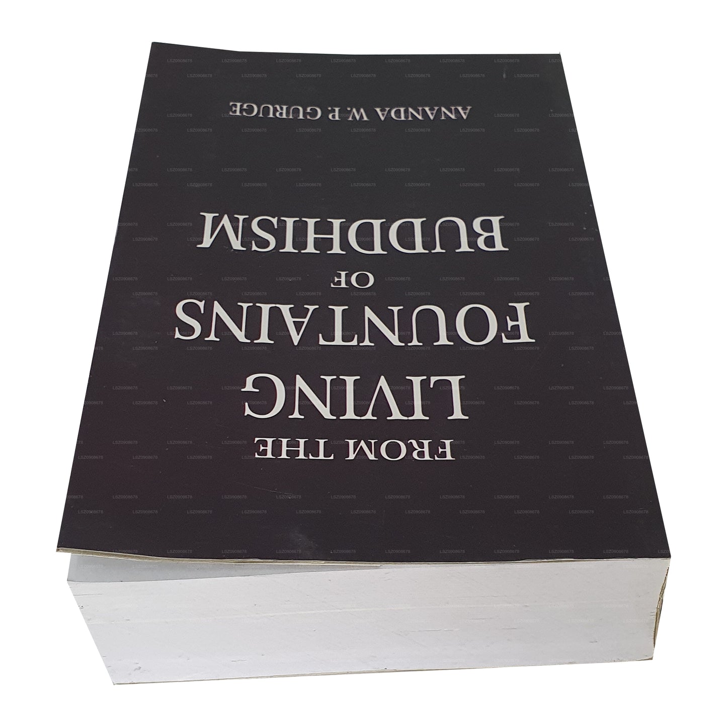 Extrait des sources vivantes du bouddhisme