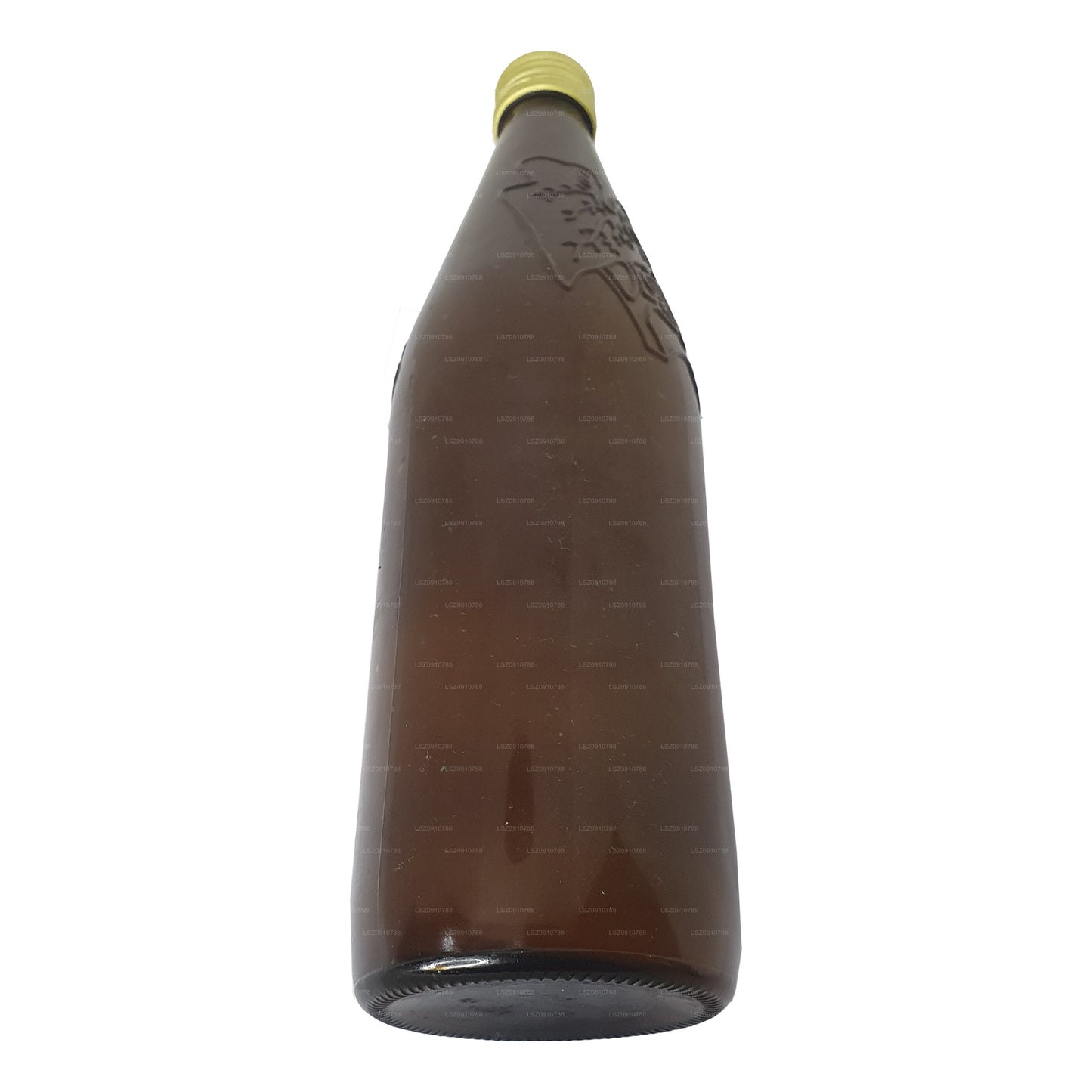 Huile de mer Gampaha Wickramarachchi