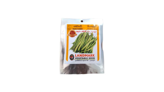 Lakpura Beans (Bush beans – Contender) Seeds