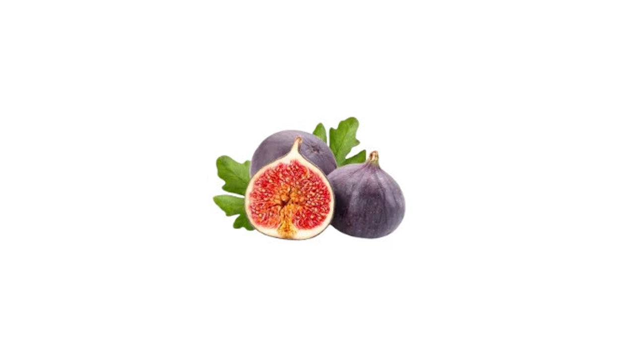 Lakpura Fig Layered Plant
