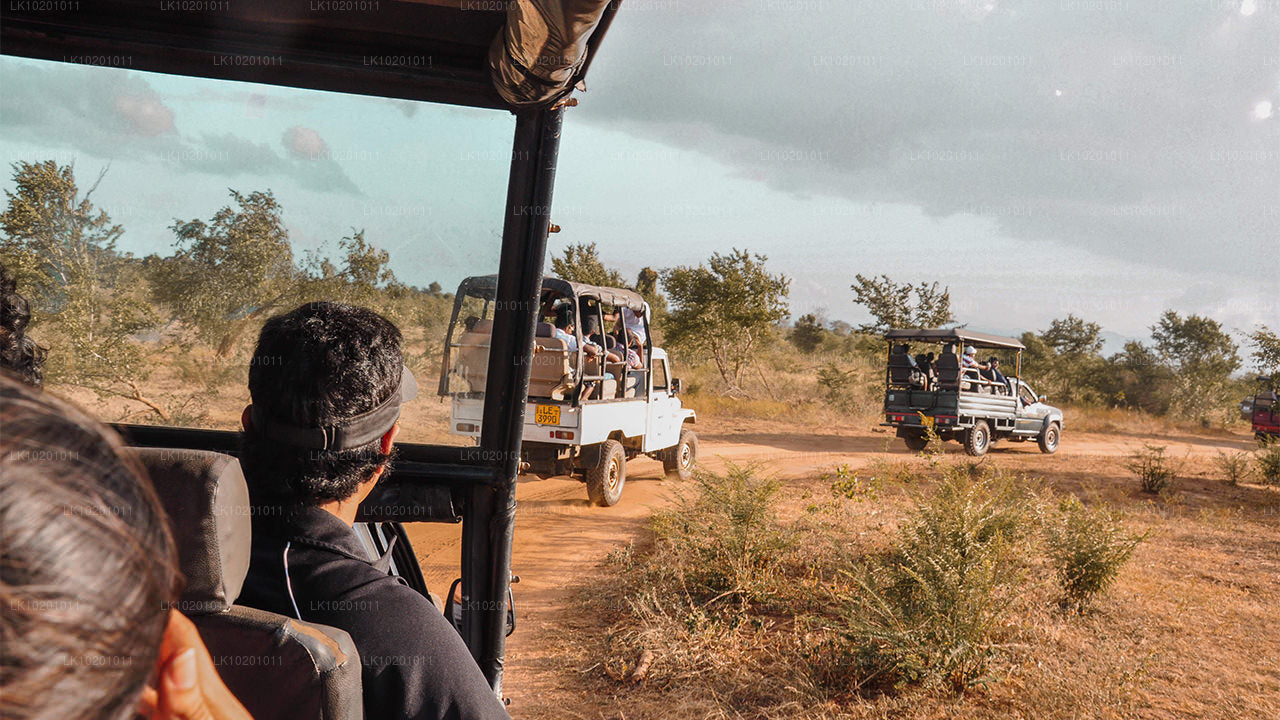 Udawalawe et Galle depuis Colombo (2 jours)